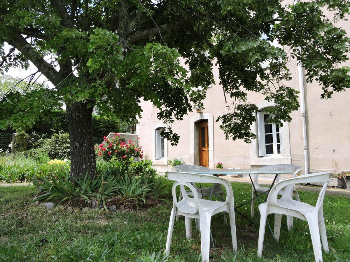 Domaine Saint-Louis Bed and Breakfast Carcassonne Buitenkant foto
